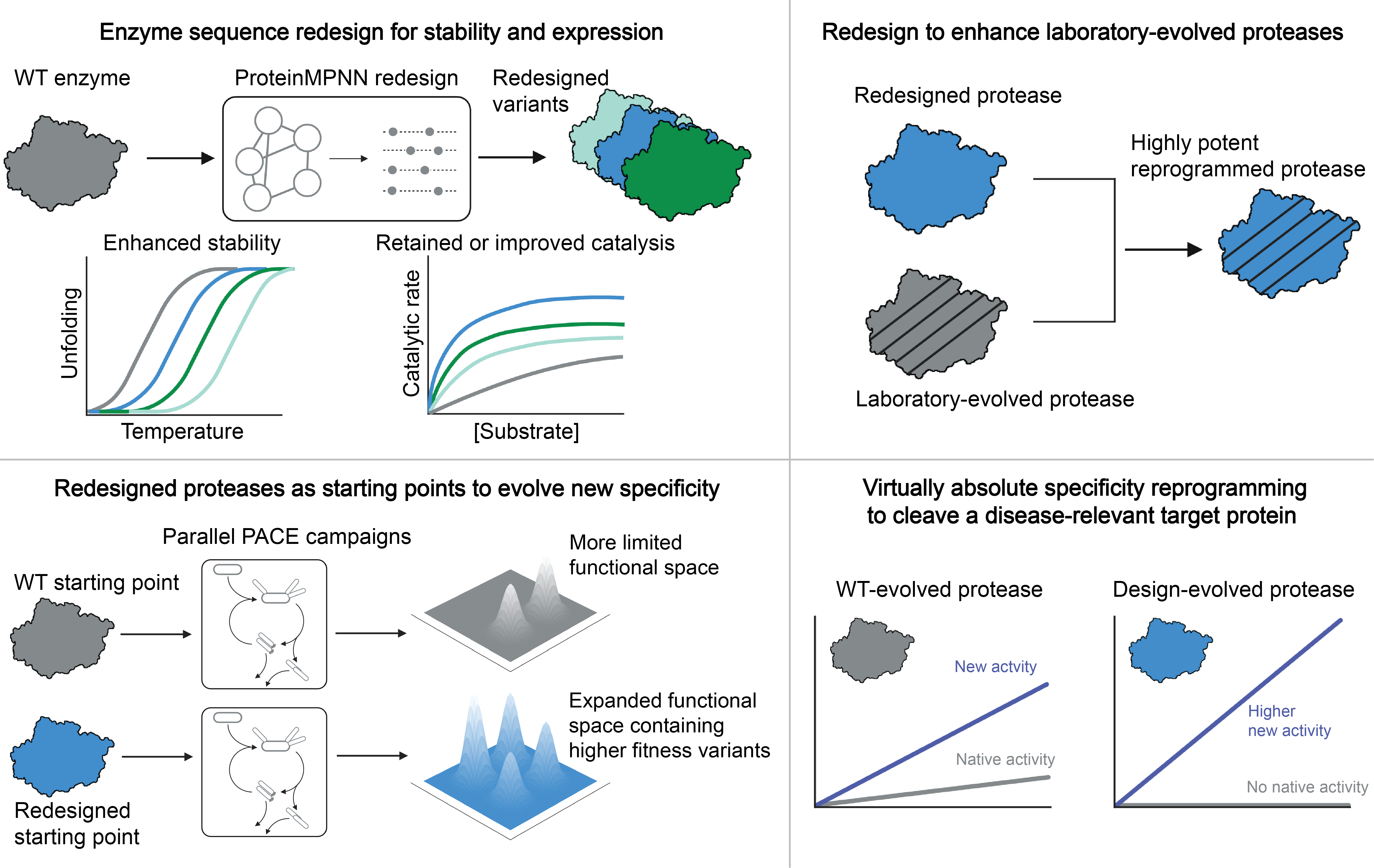 AI-redesigned starting points enhance laboratory enzyme evolution